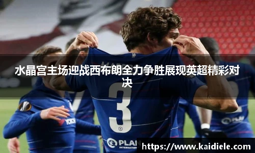 水晶宫主场迎战西布朗全力争胜展现英超精彩对决